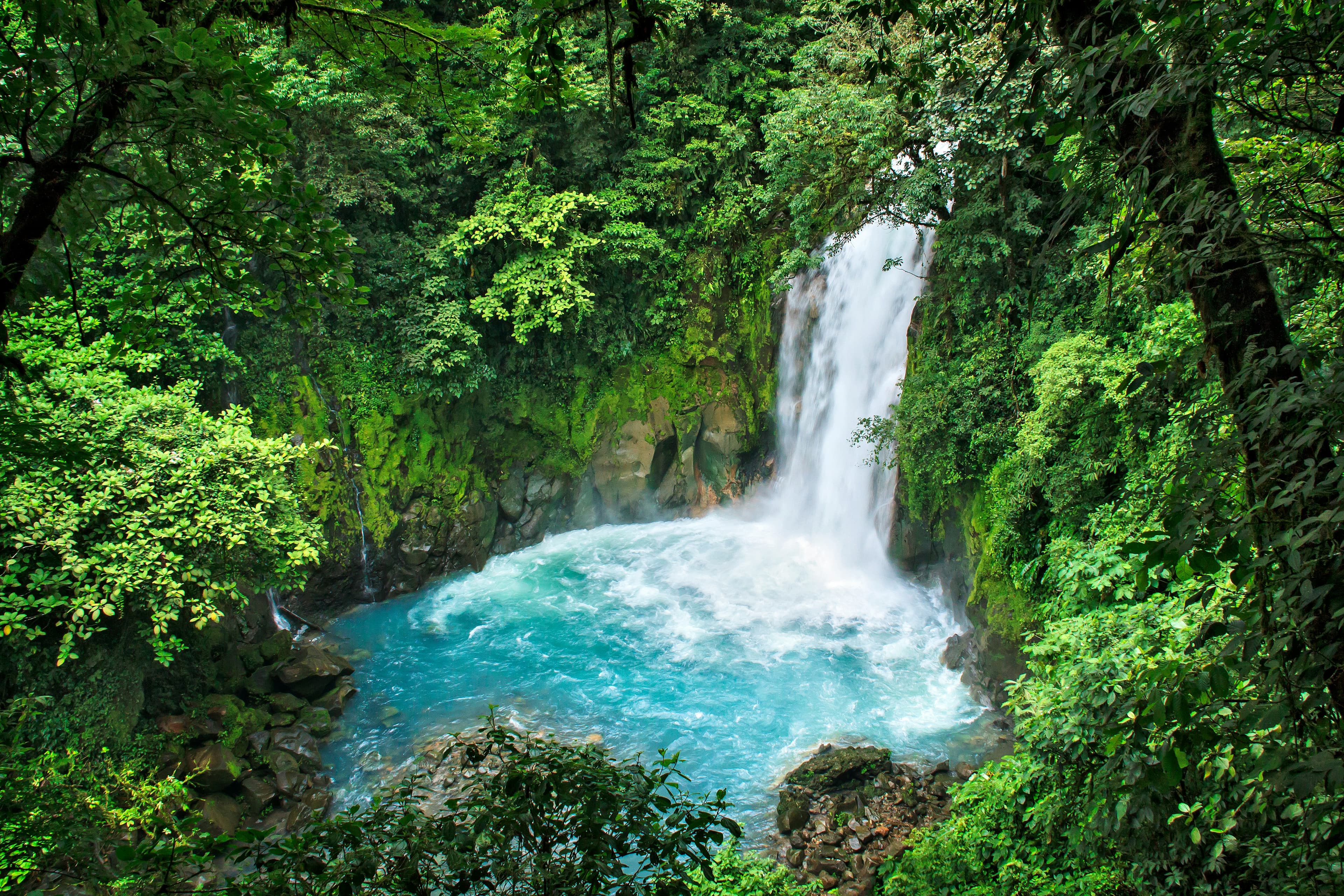 Costa Rica Jungle Paradise Background